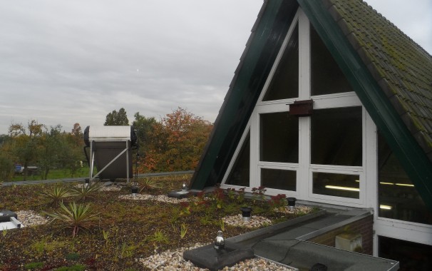 Groen dak op lescentrum van kinderboerderij de Wilgenhof, Schiebroek