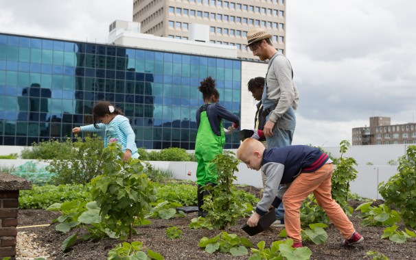 Landbouw op dak van Schieblock